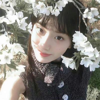 盗影谜情